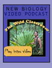 Biology Video Podcast: The Wild Classroom
