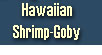 Hawaiian Shrimp Goby