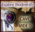 Cave Video