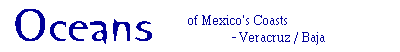 Oceans of Mexico